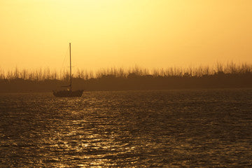 F00008-L