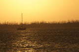 F00008-L
