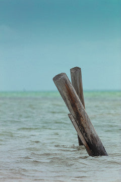 F00003-L